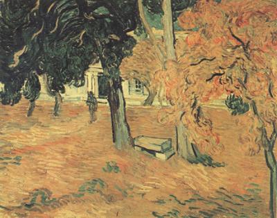 The Garden of Saint-Paul Hospital (nn04), Vincent Van Gogh